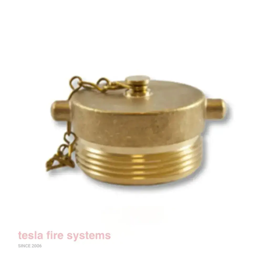 2.5" Threaded Brass Plug